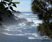 Calf.Coastline near Carmel