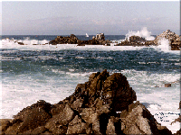 Cal_Coast_near_Monterey